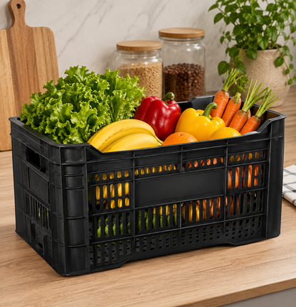 Caja Plástica Multiuso